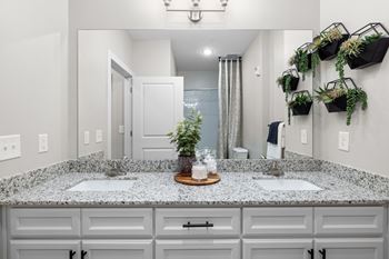 A bathroom with a granite countertop and a plant on the wall.